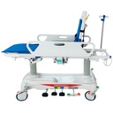 CAMILLA TRASLADO DE PACIENTES N1